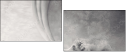 58997973