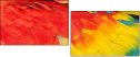 59019361