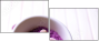 59034418