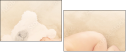 59056429