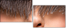 59175977