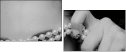 59364579