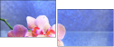 59560560