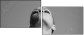 5977231