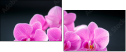 59897994