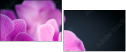 59923716