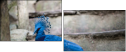 60046896