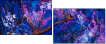 60310652