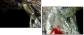 60316396