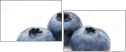 60359707