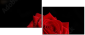60429320