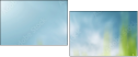 60450374