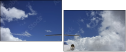 60525051