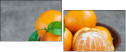 60530401