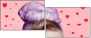 60806779