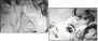 60831181