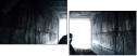 60945003