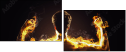 61751589