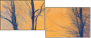 61864050