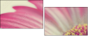 62303581
