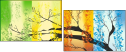 62514061