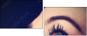 62674579