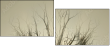 62822000