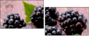 62957499