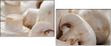 63406679