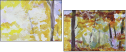 63638653