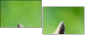 63805438