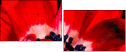 64202605