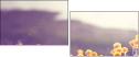 64321096