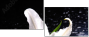64347544