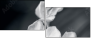 64479255