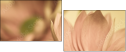 65771321