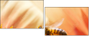 65782170