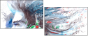 65864173
