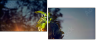 65958619