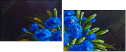 66105575