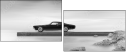 66242450
