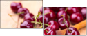 66523146