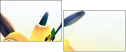 66709421