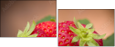67189229