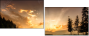67616317