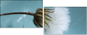 67938028