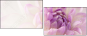 68475939