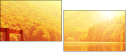 68616256