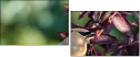 68702565