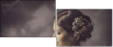 68741599